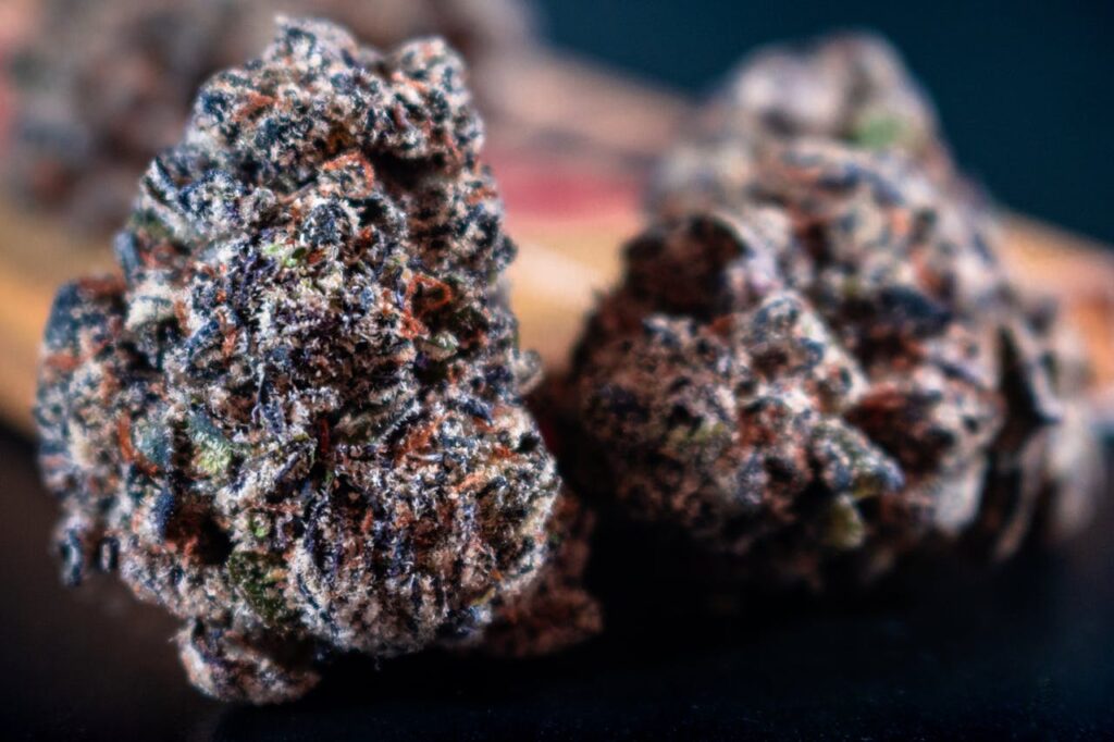 Close-Up Shot of Kush 