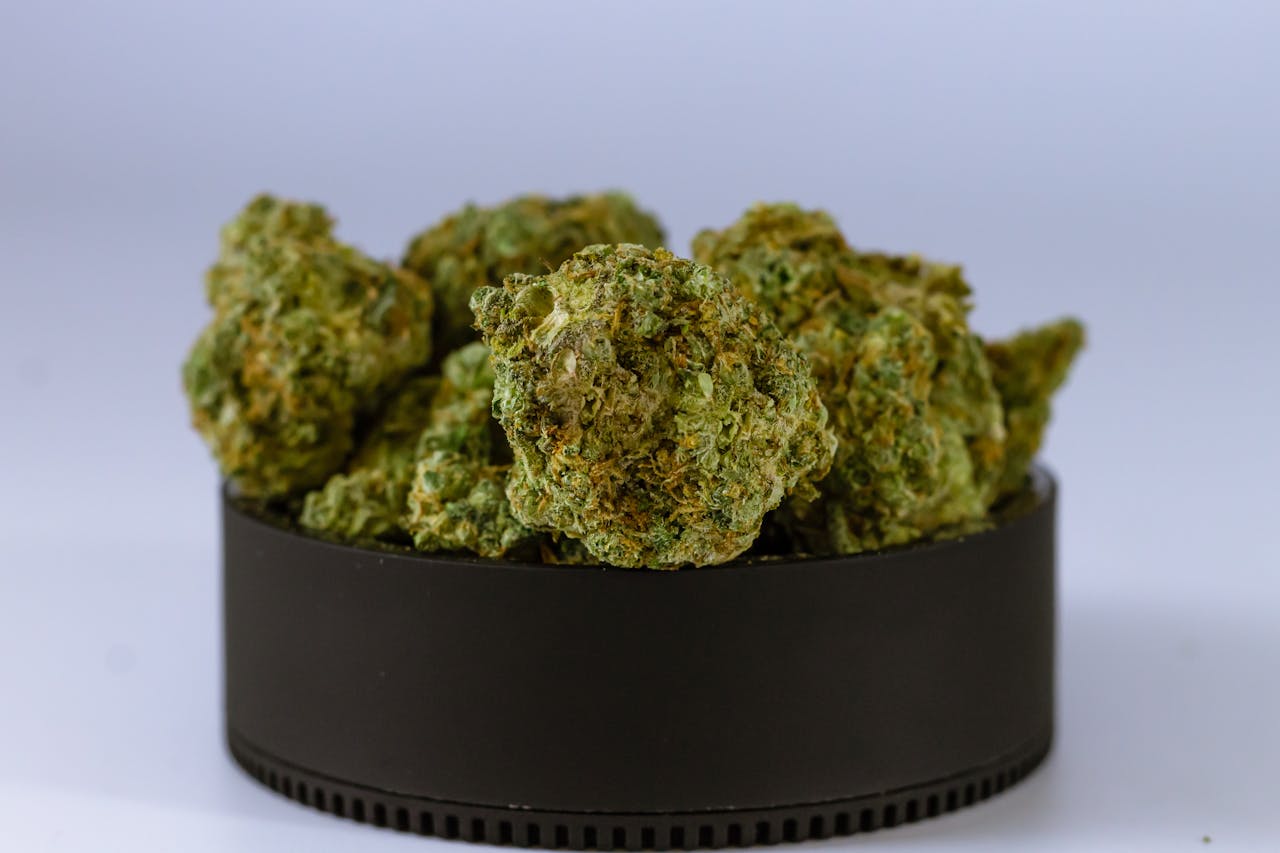 Close-up of Hemp Drought